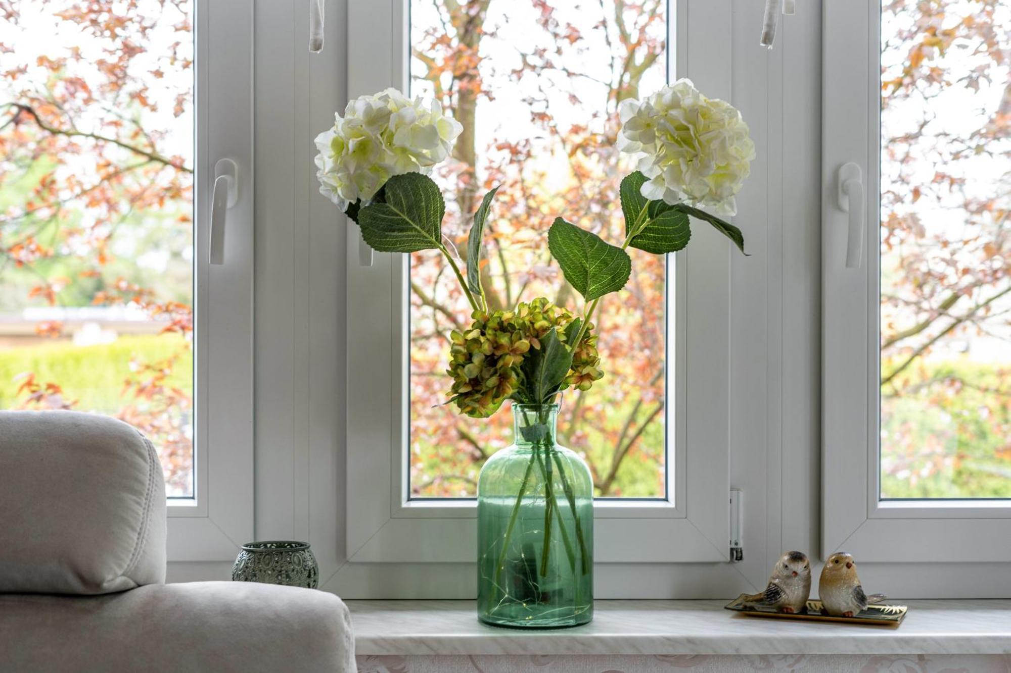 Urlaub Mit Hund Apartment Neupetershain Exterior photo